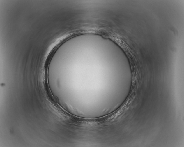 X0000112050342200908251003