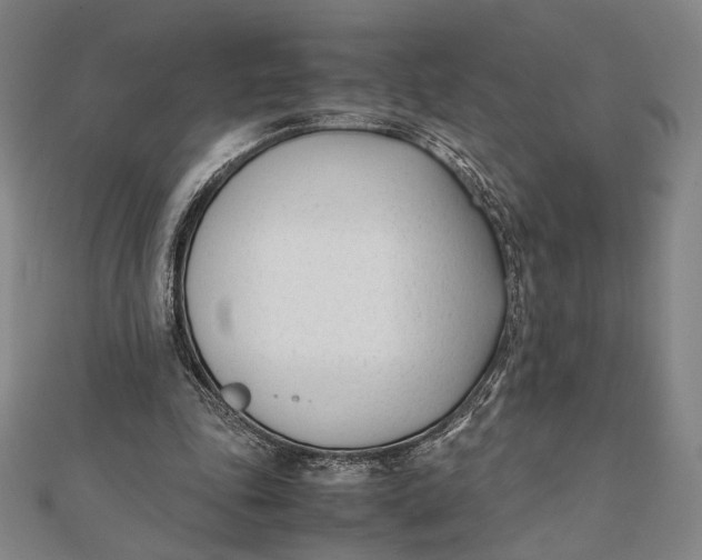 X0000112050343200908251003