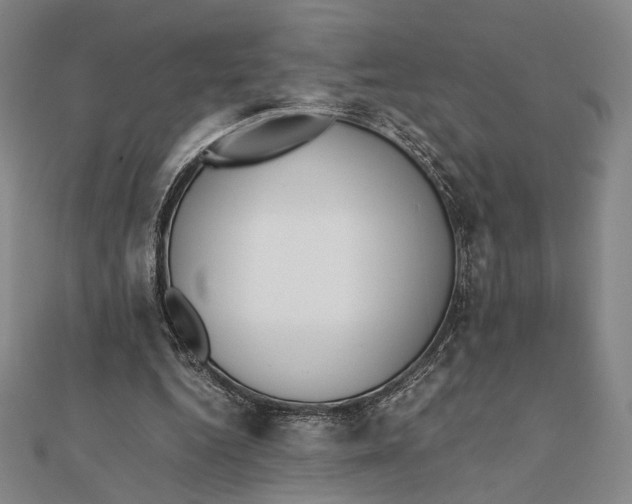 X0000112050344200908251003