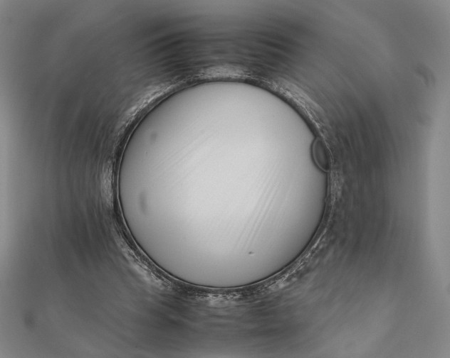 X0000112050345200908251003