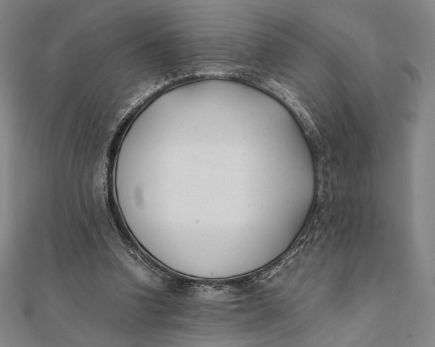 X0000112050346200908251003