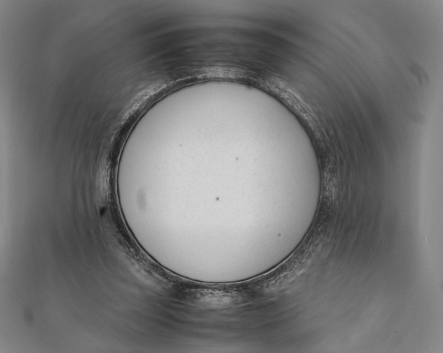 X0000112050347200908251003