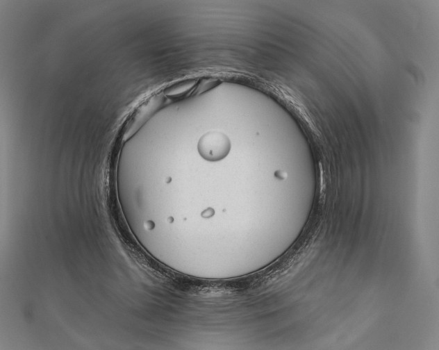 X0000112050348200908251003