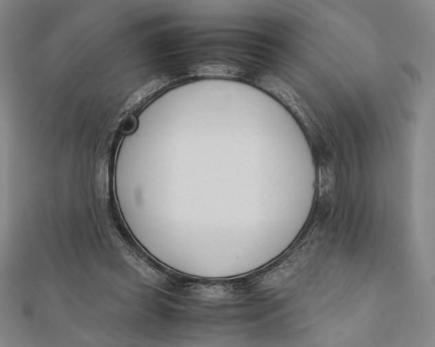 X0000112050349200908251003