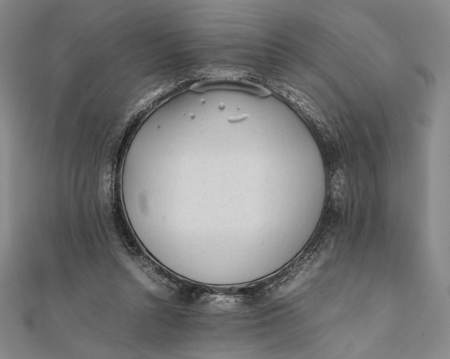 X0000112050352200908251003