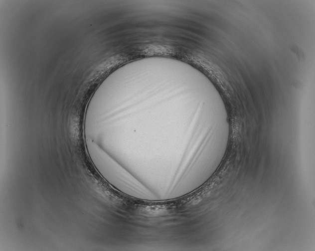 X0000112050353200908251003