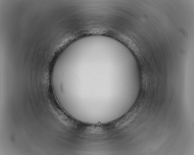 X0000112050354200908251004