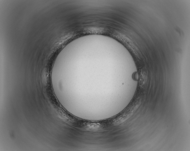 X0000112050355200908251004