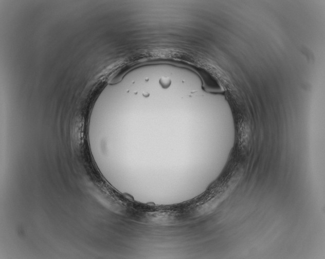 X0000112050356200908251004