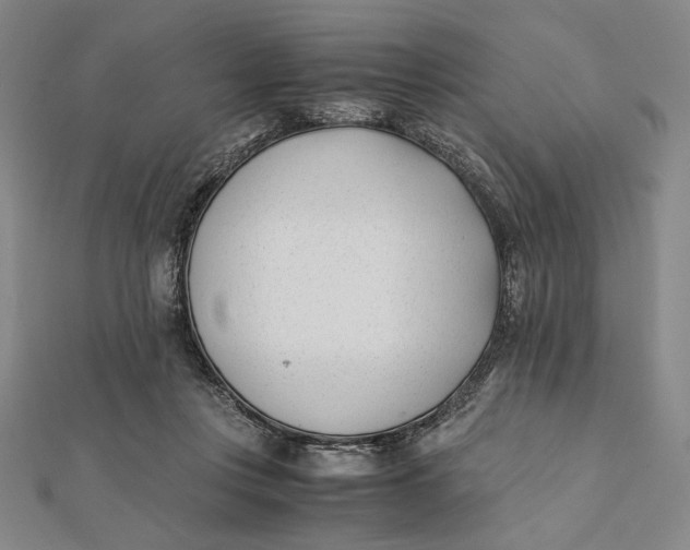 X0000112050359200908251004