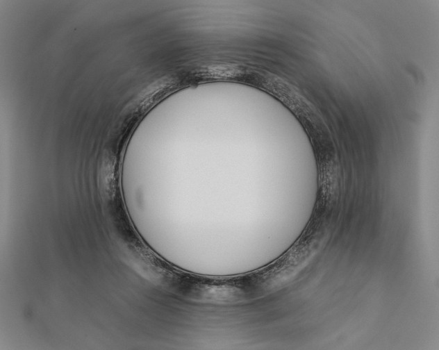 X0000112050360200908251004