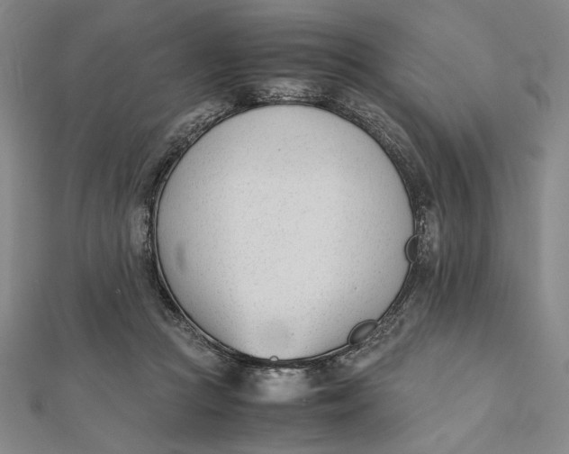 X0000112050361200908251004