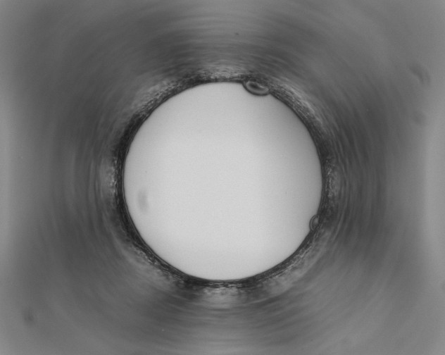 X0000112050362200908251004