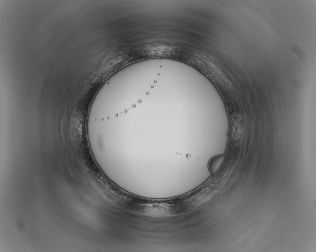 X0000112050363200908251004