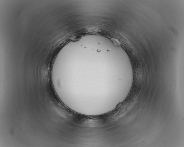 X0000112050364200908251004