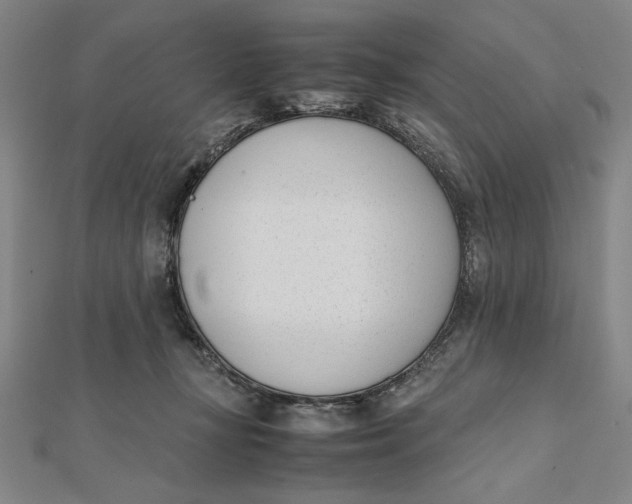 X0000112050367200908251004