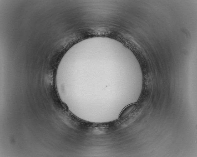 X0000112050368200908251004