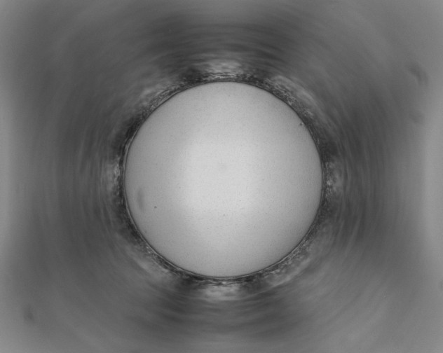 X0000112050369200908251004