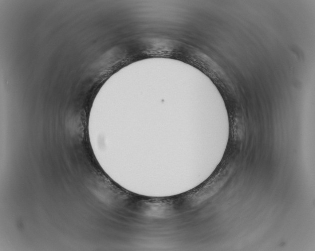 X0000112050370200908251004