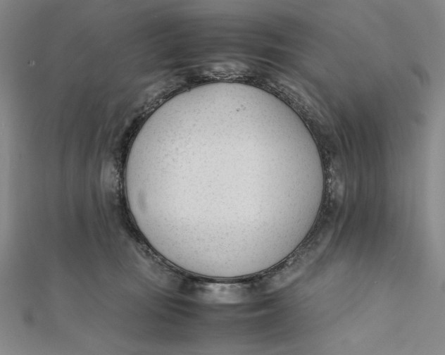 X0000112050371200908251004