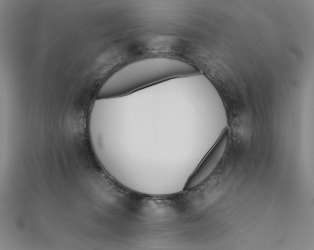 X0000112050372200908251004