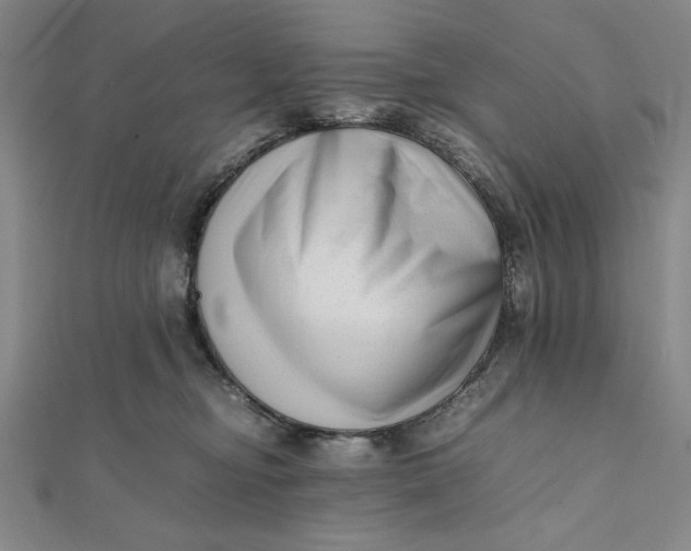 X0000112050374200908251004