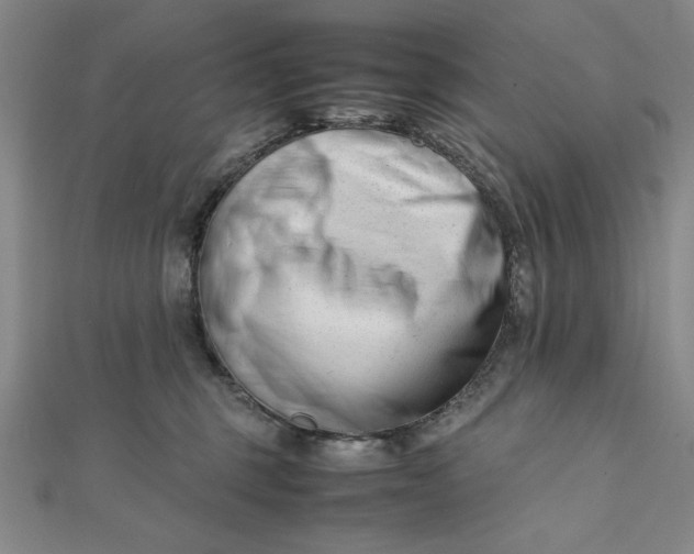 X0000112050375200908251004