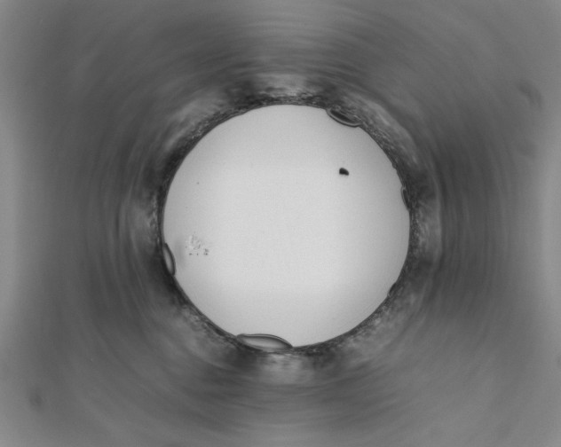 X0000112050376200908251004