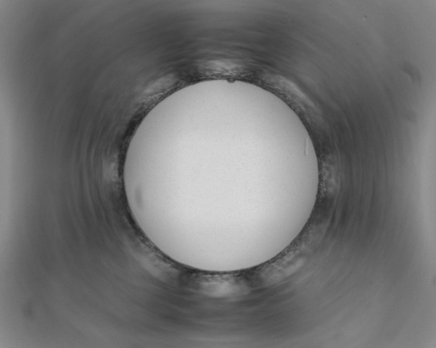 X0000112050377200908251004