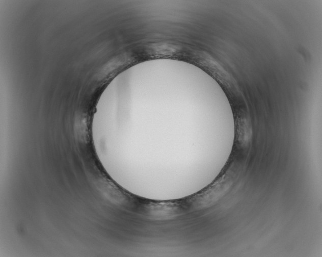 X0000112050378200908251004