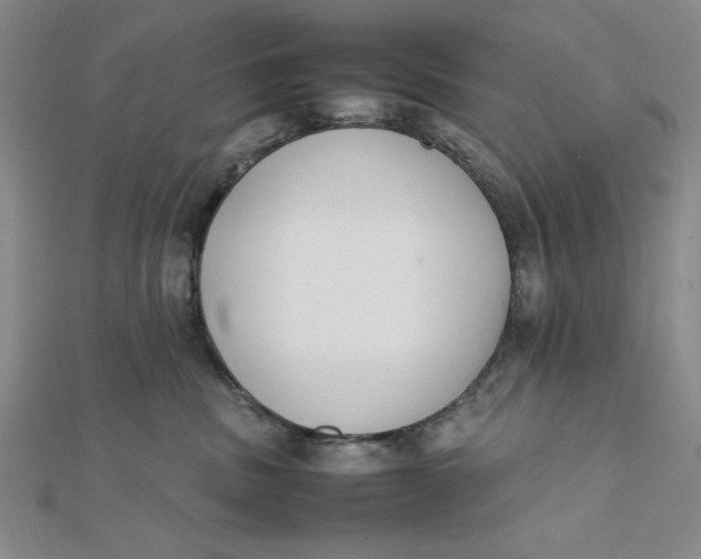 X0000112050379200908251004