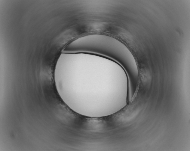 X0000112050380200908251004