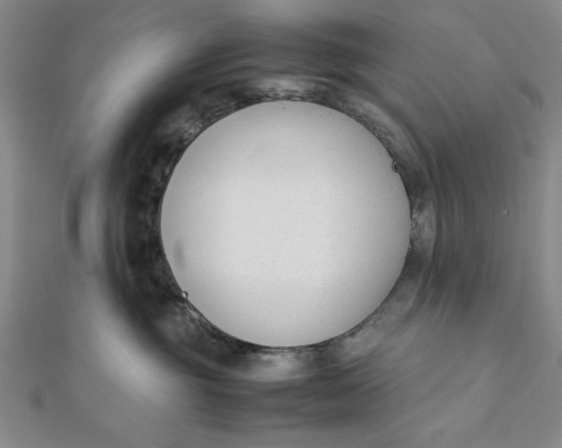 X0000112050381200908251004