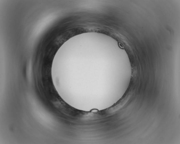 X0000112050382200908251004