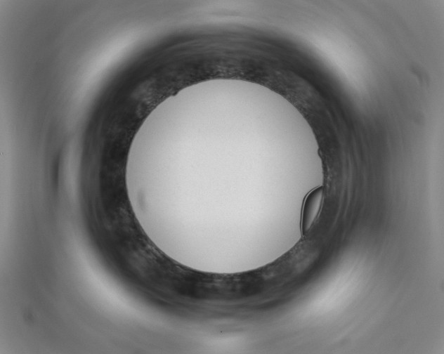 X0000112050383200908251004