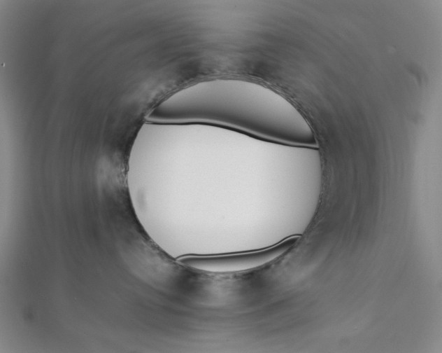 X0000112050384200908251004