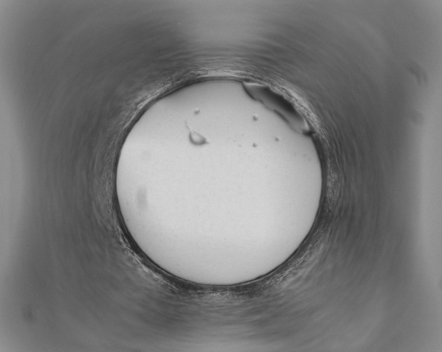 X0000112050385200908251003