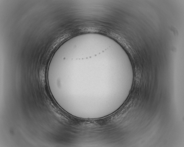 X0000112050386200908251003