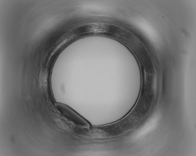 X0000112050387200908251003