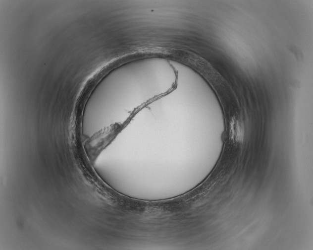 X0000112050388200908251003