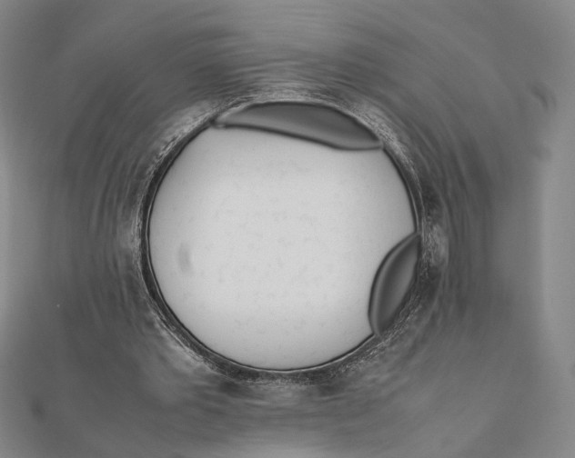 X0000112050389200908251003