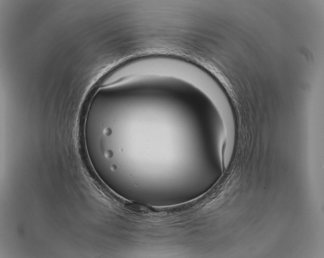 X0000112050391200908251003