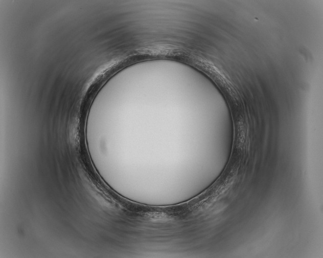 X0000112050392200908251003