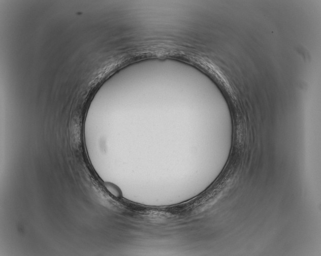 X0000112050393200908251003