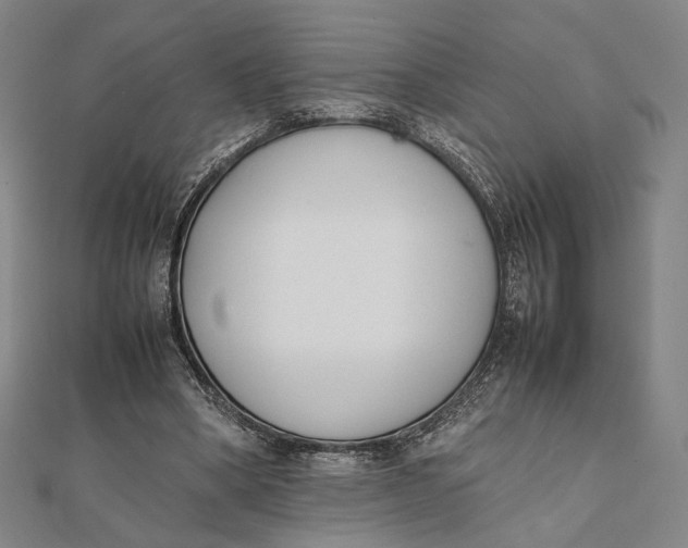 X0000112050394200908251003