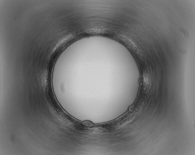 X0000112050396200908251003