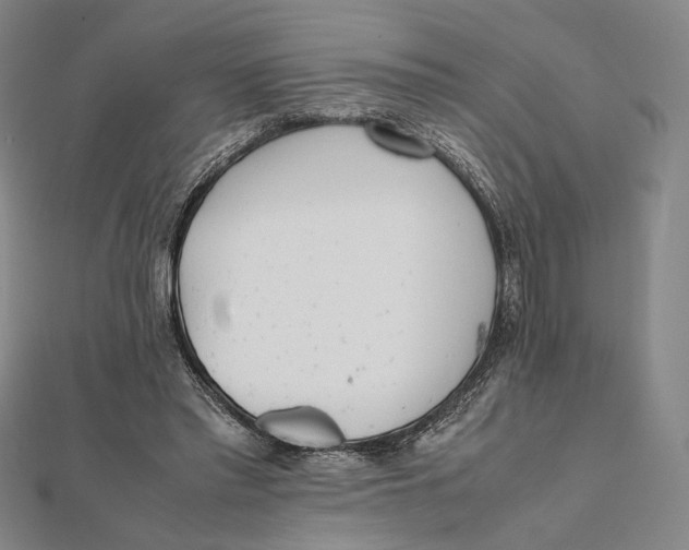 X0000112050397200908251003