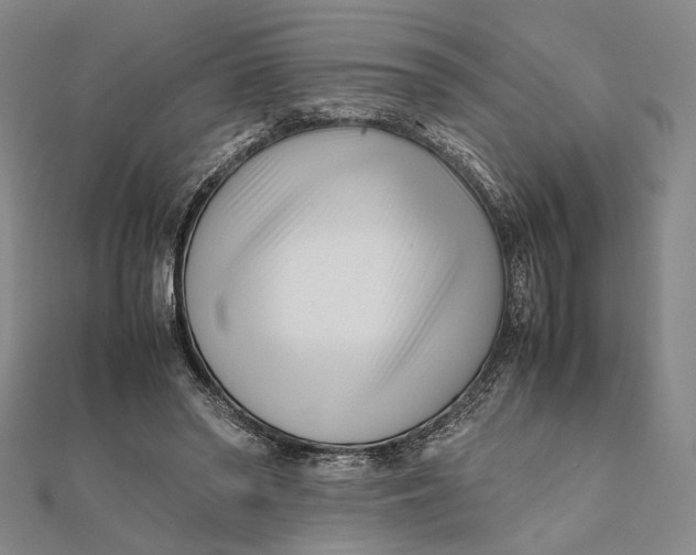 X0000112050398200908251003