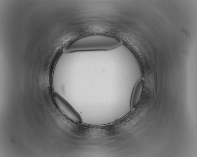 X0000112050399200908251003