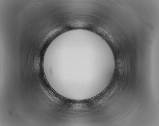 X0000112050400200908251003